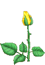 animated flower34.gif