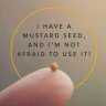 MustardSeed19