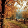 AutumnBreeze