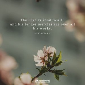 God Promise Words