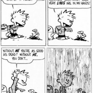 Calvin.jpg