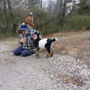 Steve with goats