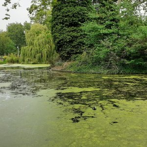 Southwark park