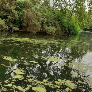 Southwark park