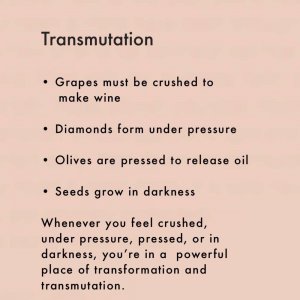 Transmutation