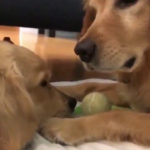 Sharing When it's Hard