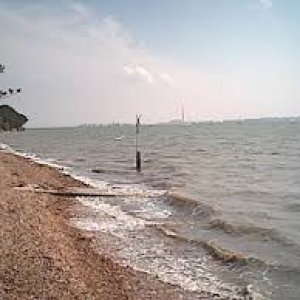 Netley Shore