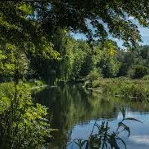 The water meadows Winchester