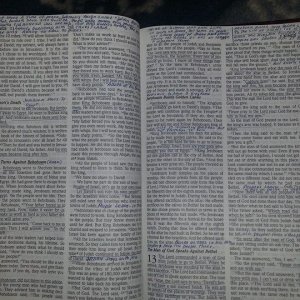 amisswills bible.jpg