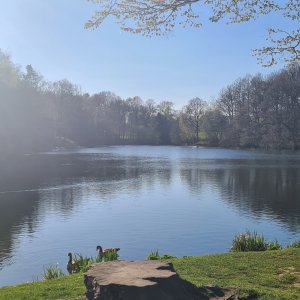 nostell lake