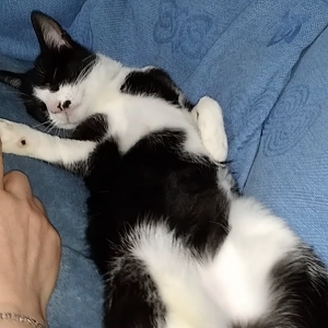 Media 'VID_20260204_220405.mp4' in album 'Me .'