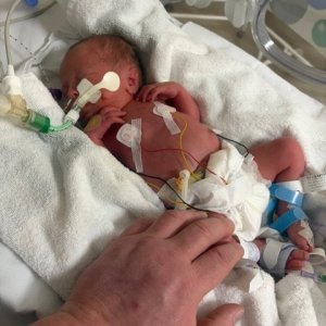 Media 'image6.jpeg' in album 'Me .'