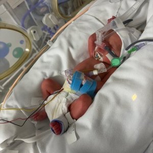 Media 'image5.jpeg' in album 'Me .'